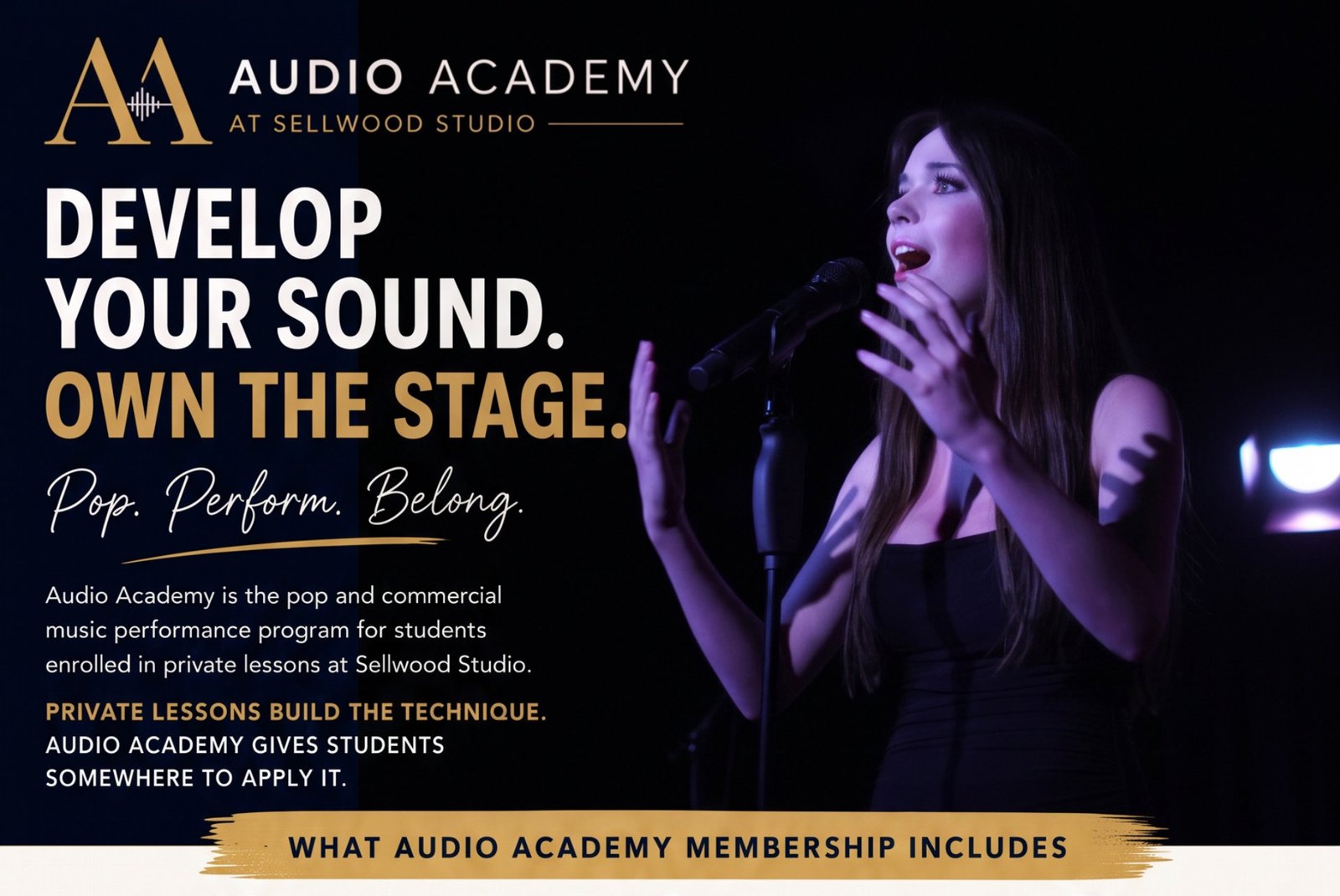 Audio Academy Hero
